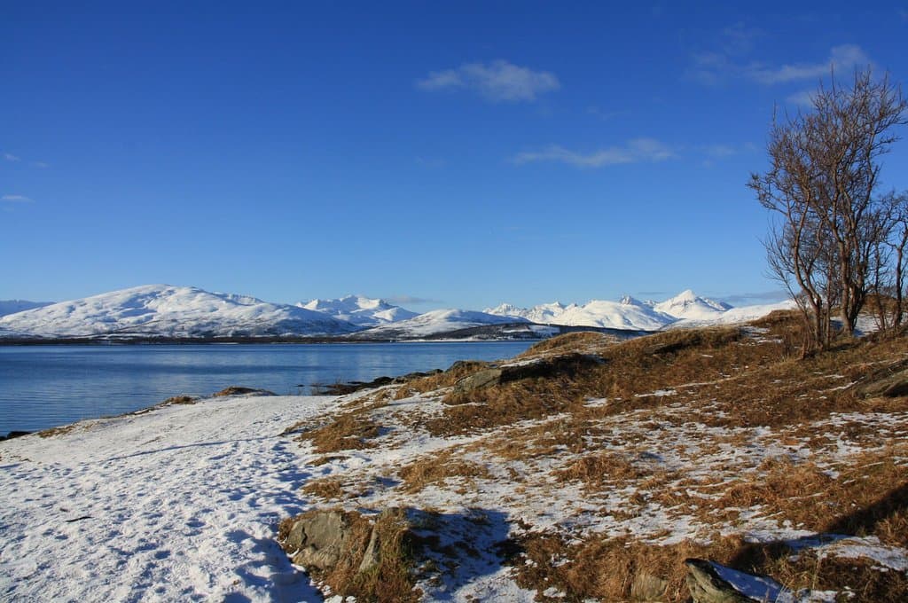 Telegrafbukta Tromsø
