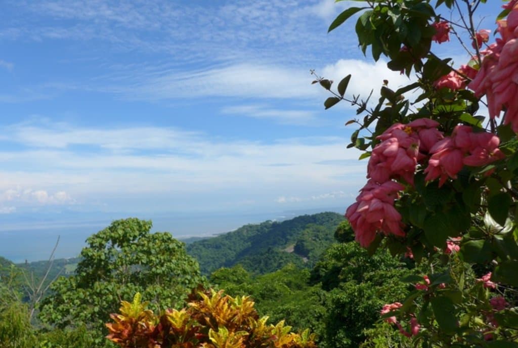 Monteverde Orchid Garden