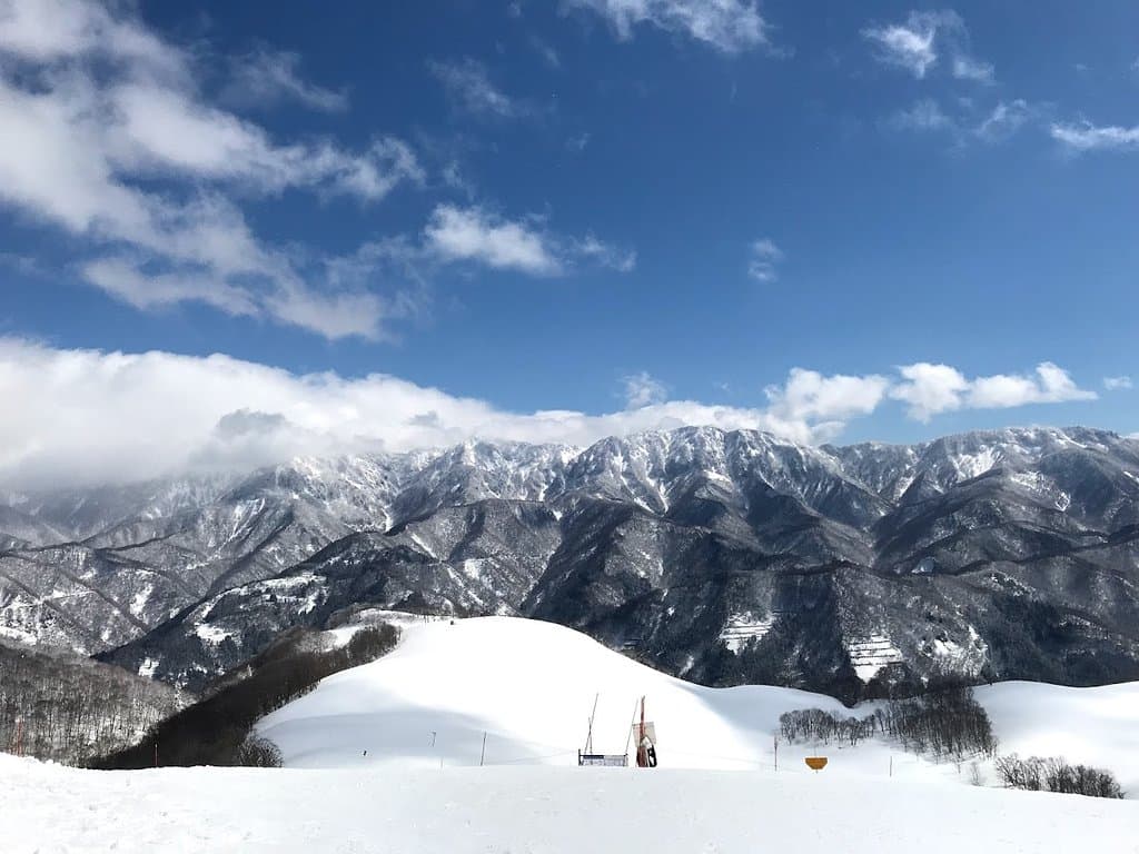 スネークコースから