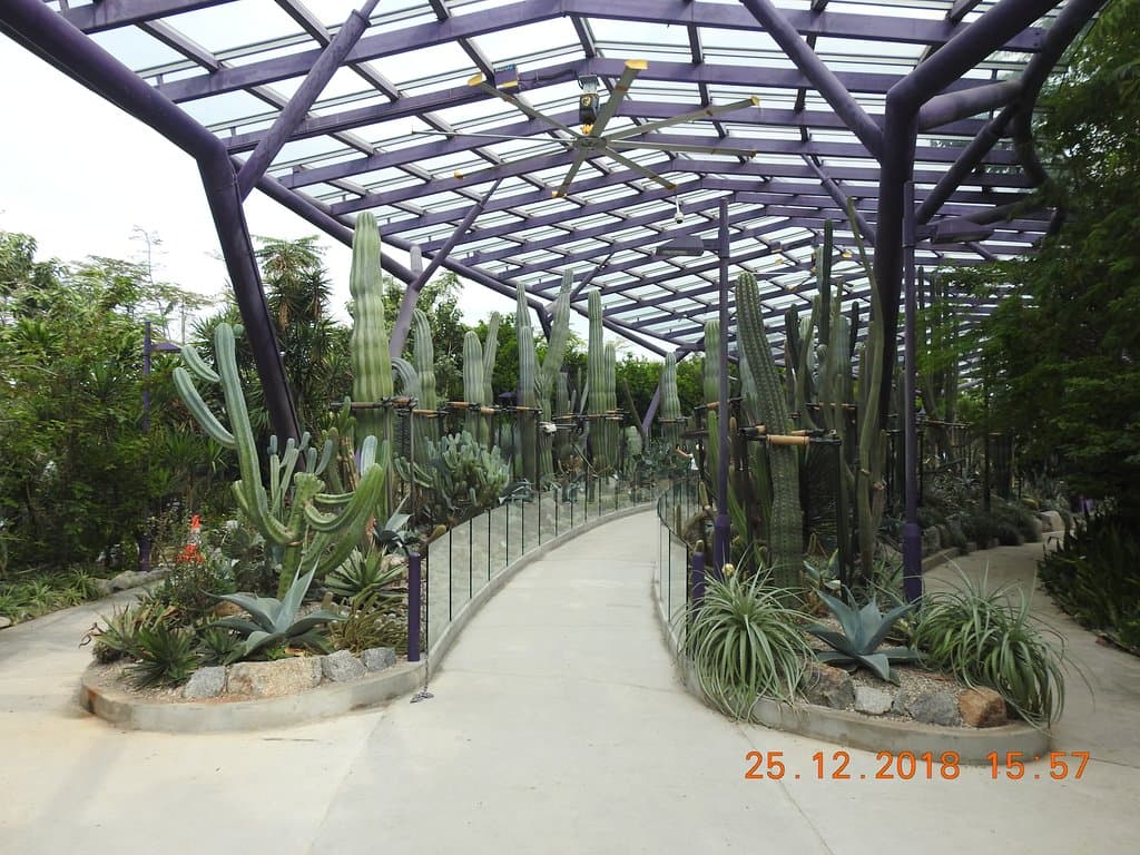 Lovely dessert plants and Cacti on display at the Sun Pavilion