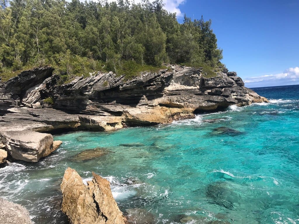 Spittal Pond Nature Reserve