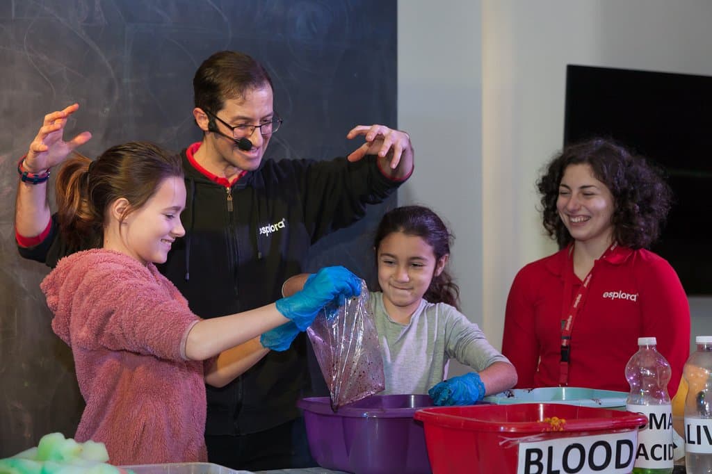 Take part in our interactive science shows! 