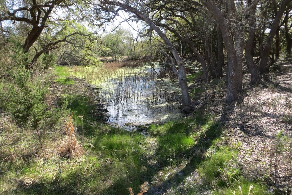 Pond. Charro Ranch Park, Dripping Springs, TX