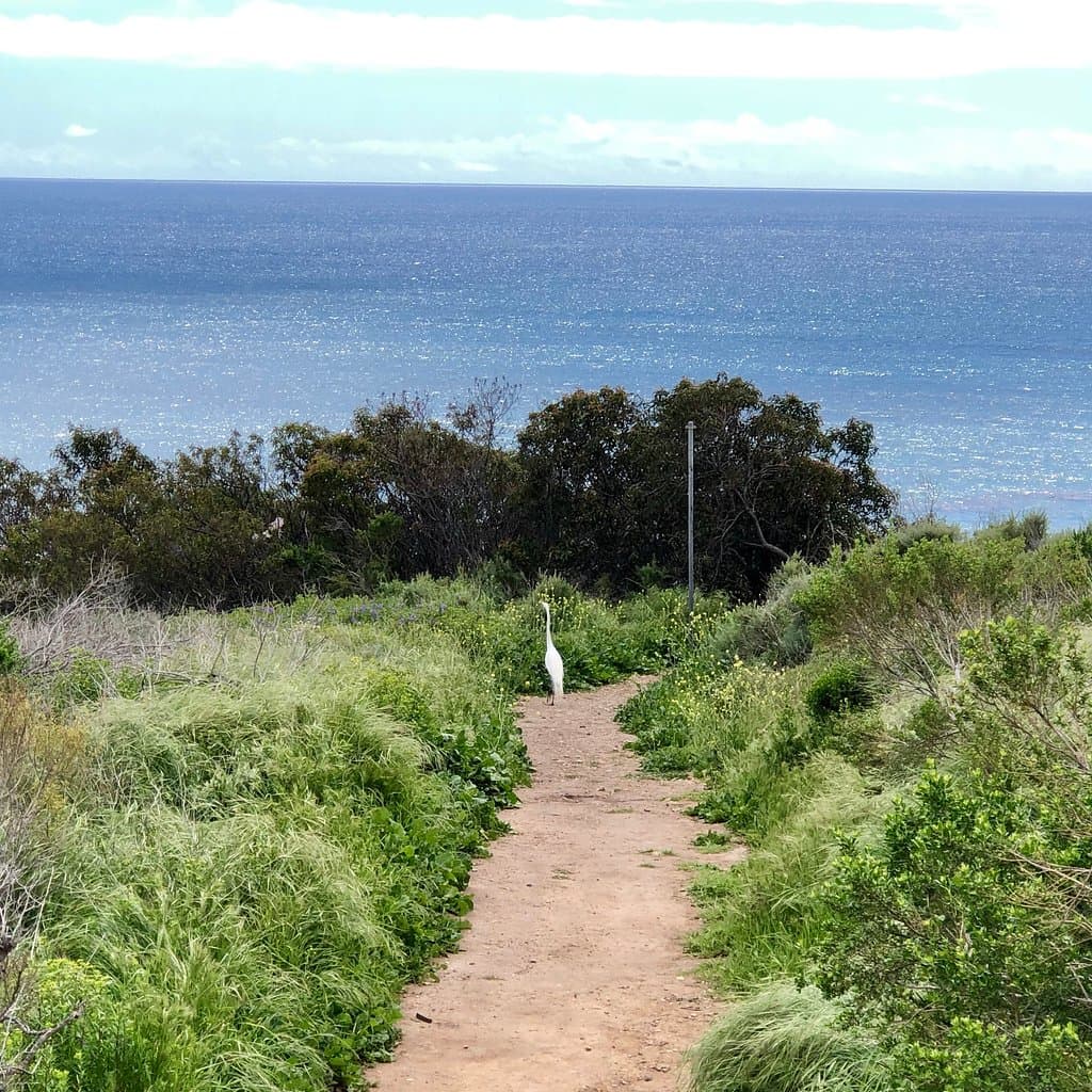 You share your path with some unusual fellow hikers. :) 
