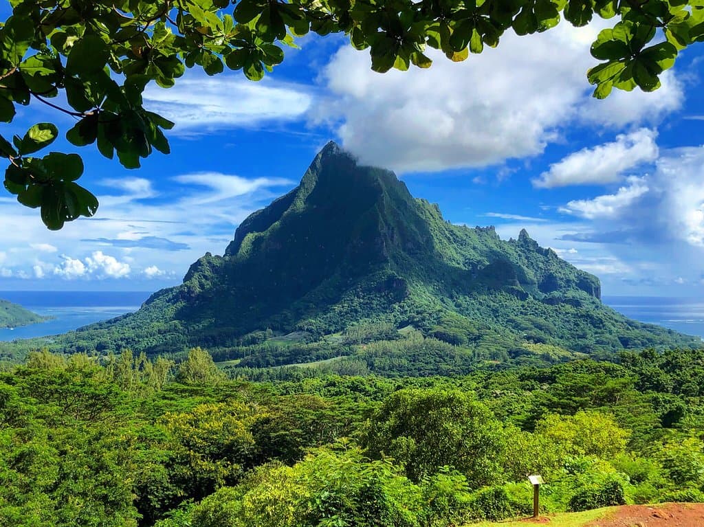Belvedere Lookout Faanui