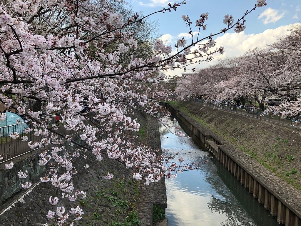 Zenpukuji River Green Park Tokyo