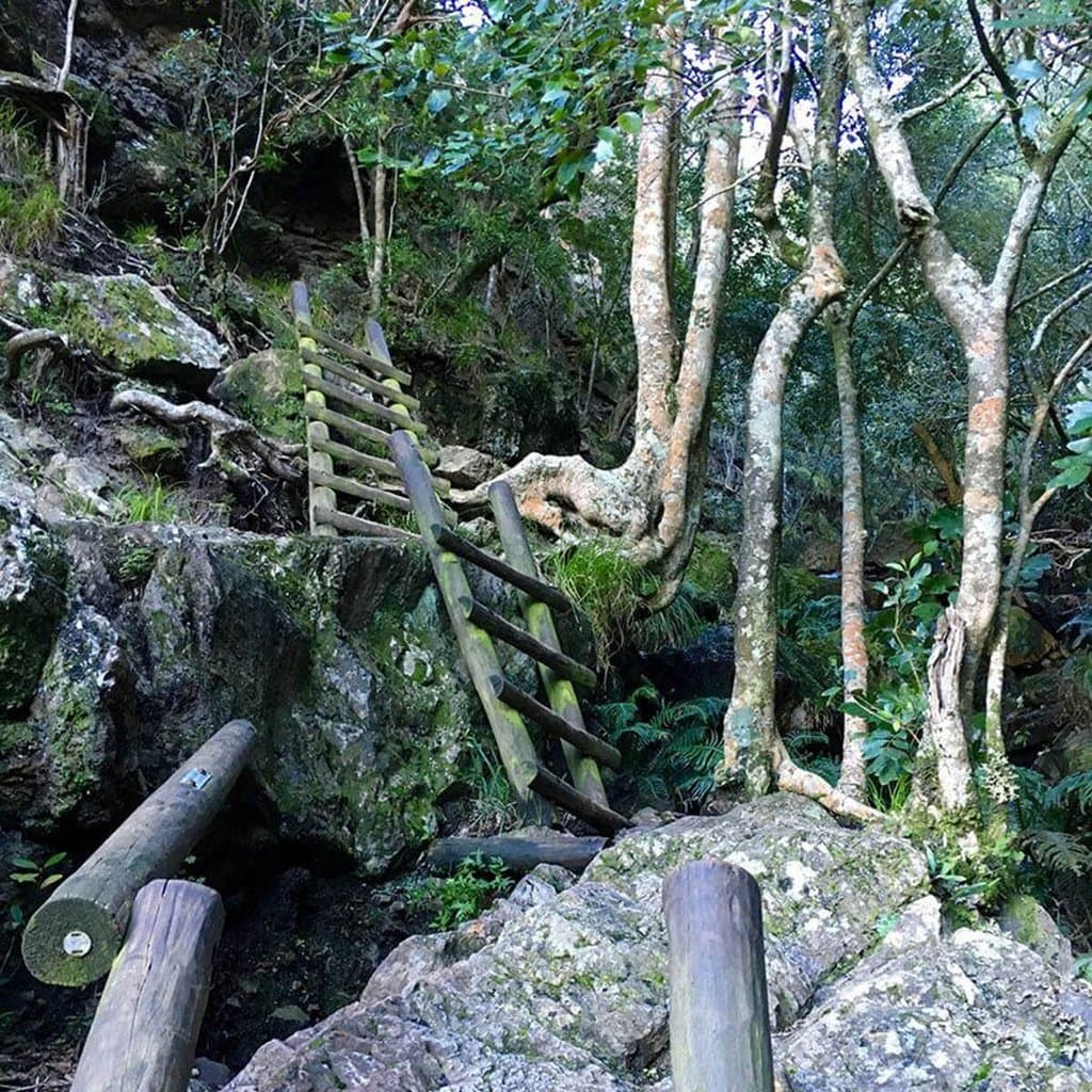 getlstd_property_photo