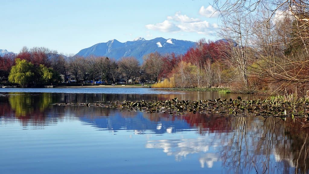Trout Lake - Vancouver, B.C.