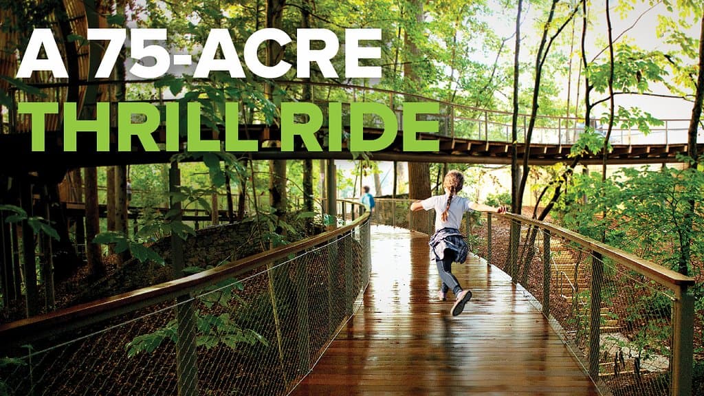 Explore 75 acres of outdoor adventures, including a canopy walk, adventure fort, play areas, a pollinator meadow, a boardwalk, and an old-growth Piedmont forest.
