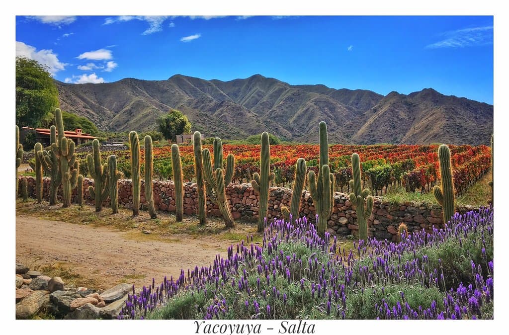 Bodega San Pedro de Yacochuya