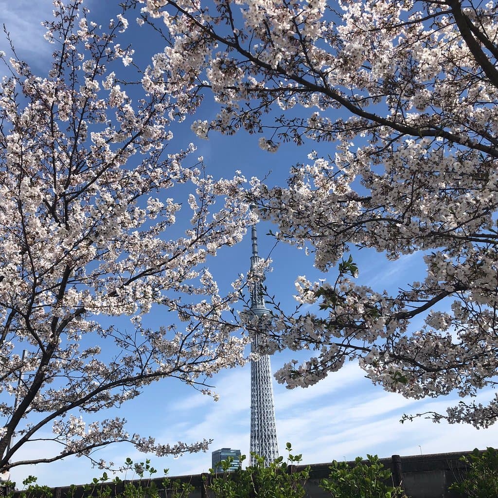 Sumida Park Tokyo