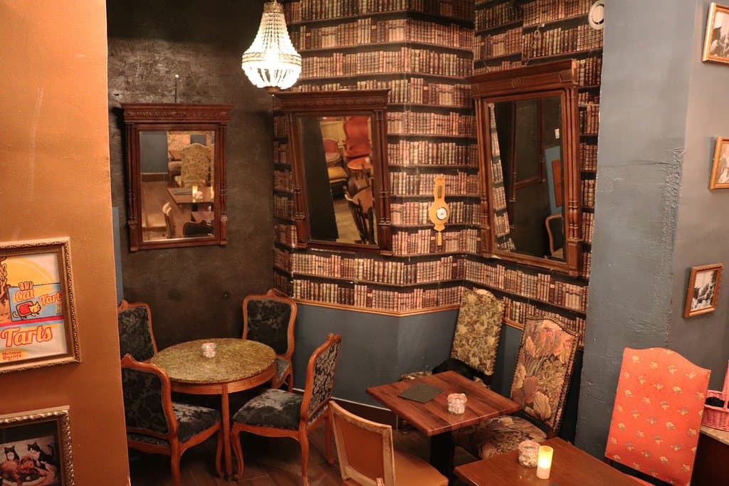 Le café des chats, un restaurant... avec des chats dedans!