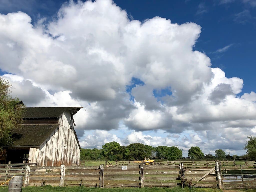 Jessie's Grove Winery