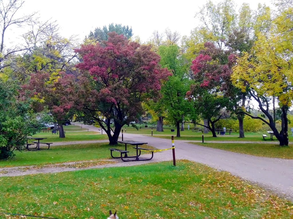 Sites and beautiful trees. 