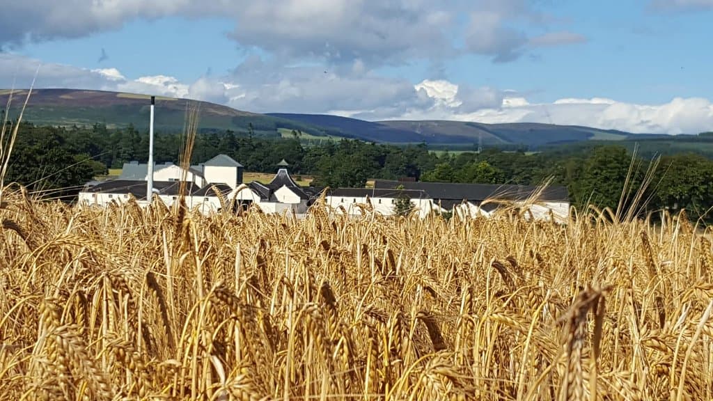 The distillery and the local wheat fields.