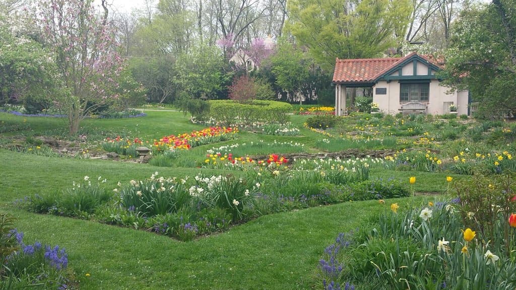 Beautiful Display at Spring Peak  - Come Soon