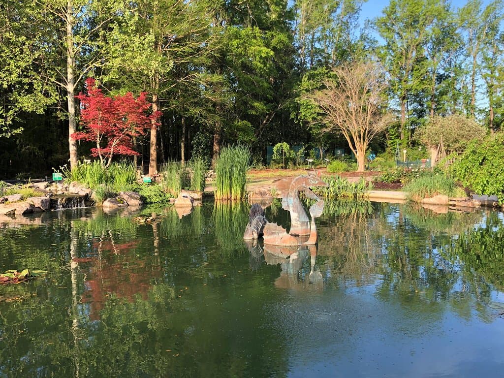 New Hanover County Arboretum
