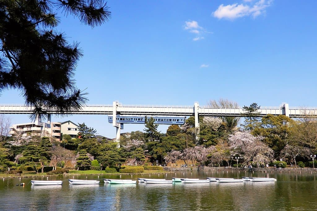 公園内、池とモノレールとさくら。