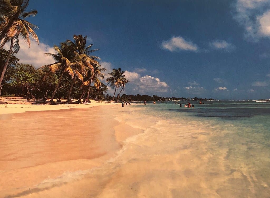 Spiaggia di Saint Francois Guadeloupe vicino al bellissimo Golf Club