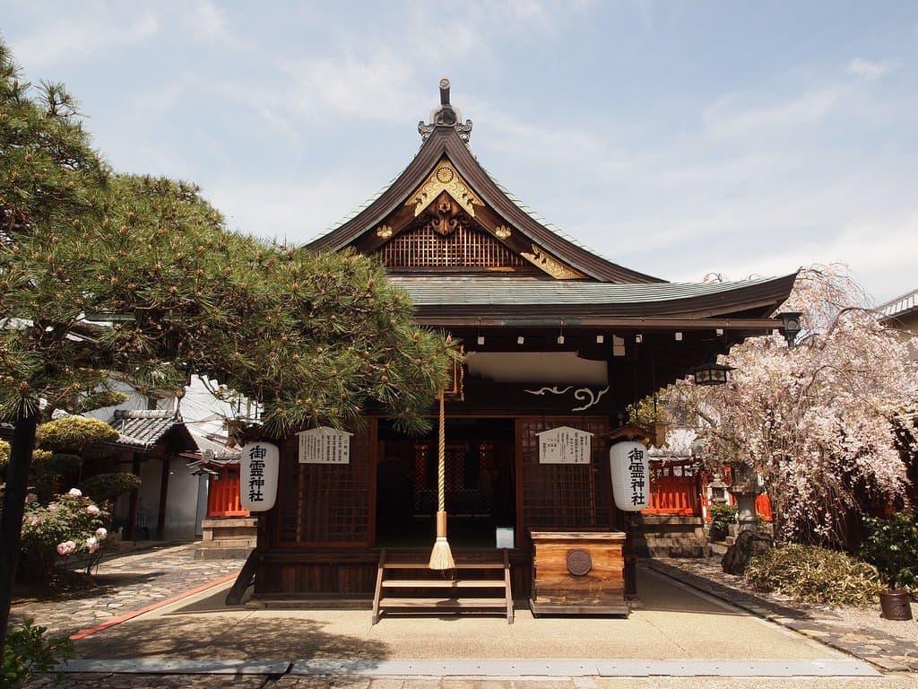 枝垂桜が綺麗でした