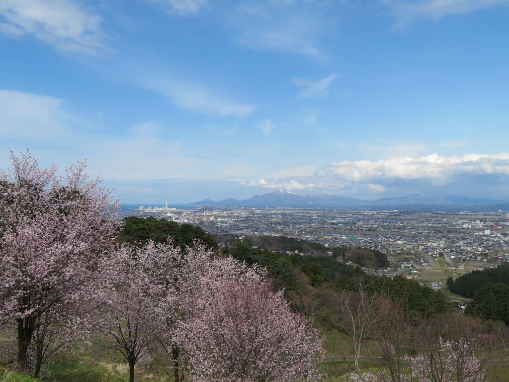 展望