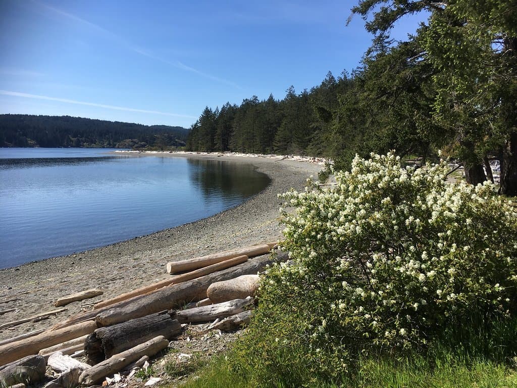 Rebecca Spit Marine Provincial Park