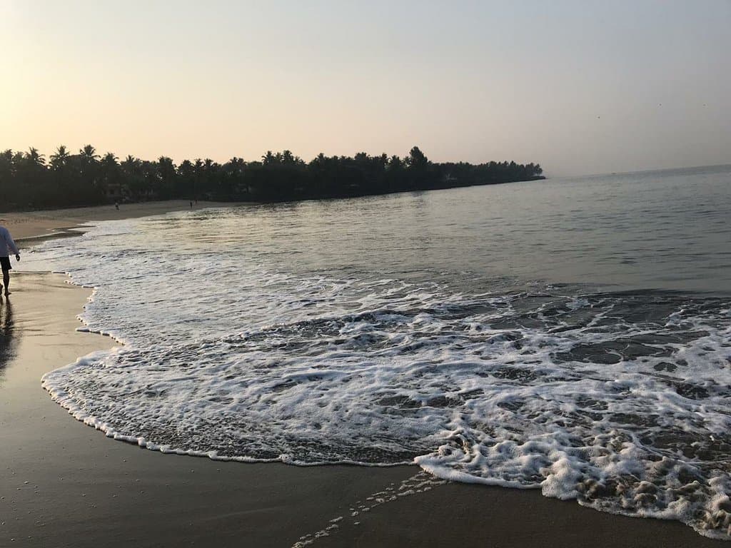 Munambam Beach and Harbour