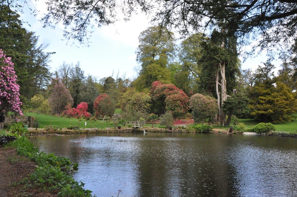 Killmacurragh Lake, Co Wicklow, Ireland