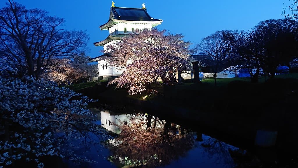 ライトアップの松前城最高‼️‼️