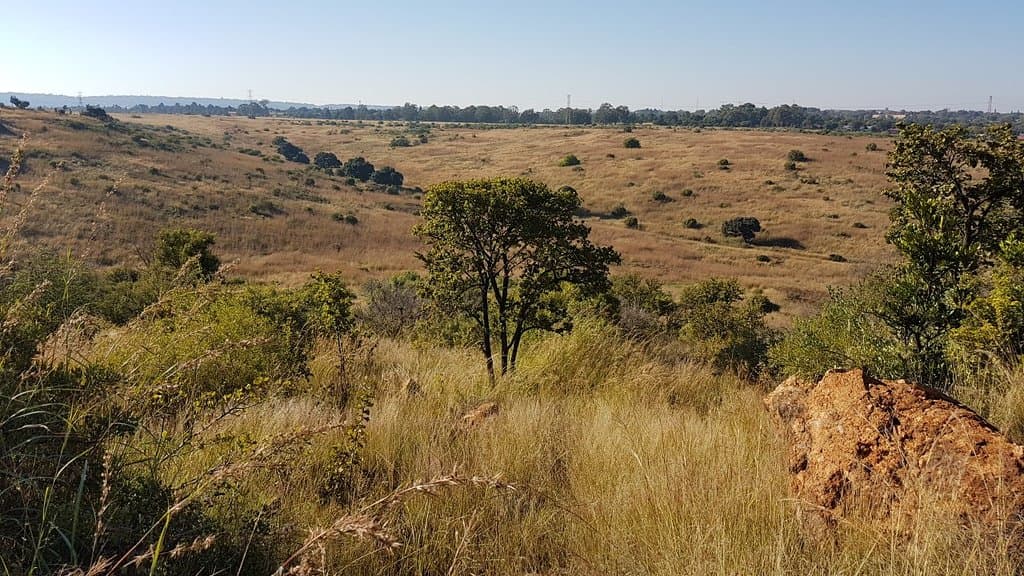 Groenkloof Nature Reserve