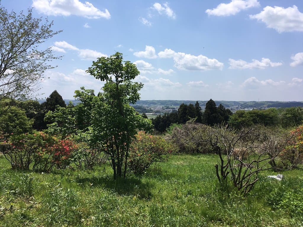 Karuizawa Picture Book Museum