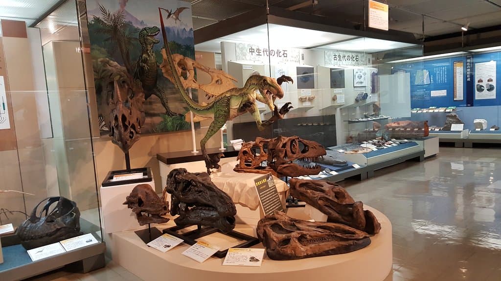 Jurassic period in Tottori