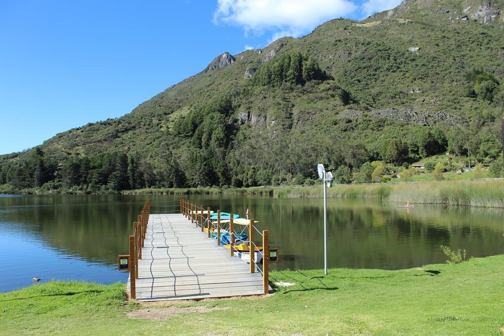Hermosa vista de busa