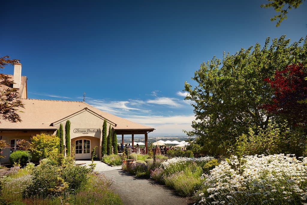 Welcome to Domaine Drouhin Oregon
