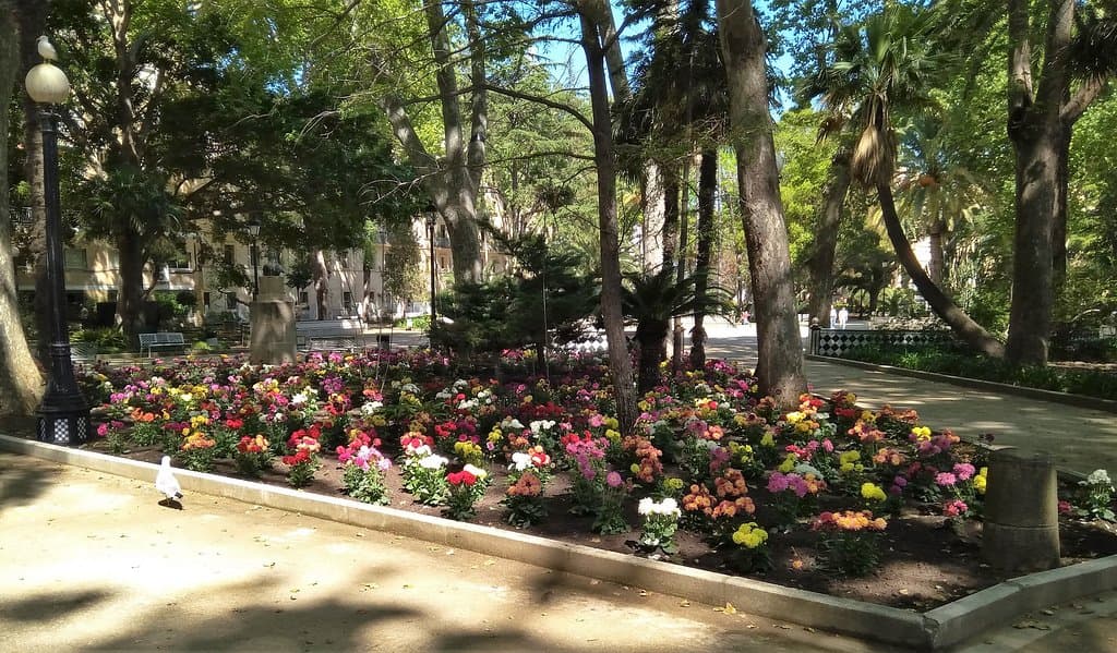 Rincones de flores