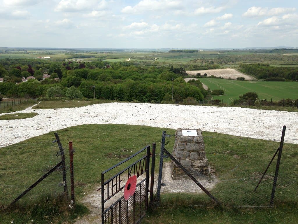 Looking down across Kiwi outline 