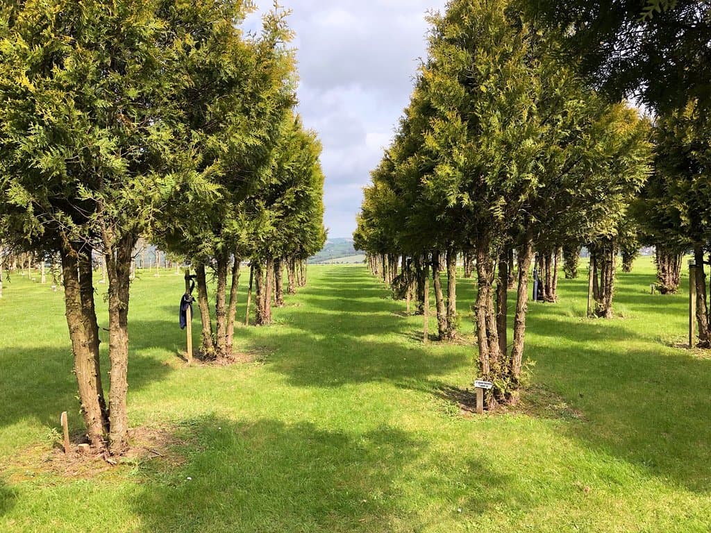Ringfinnan Garden of Remembrance