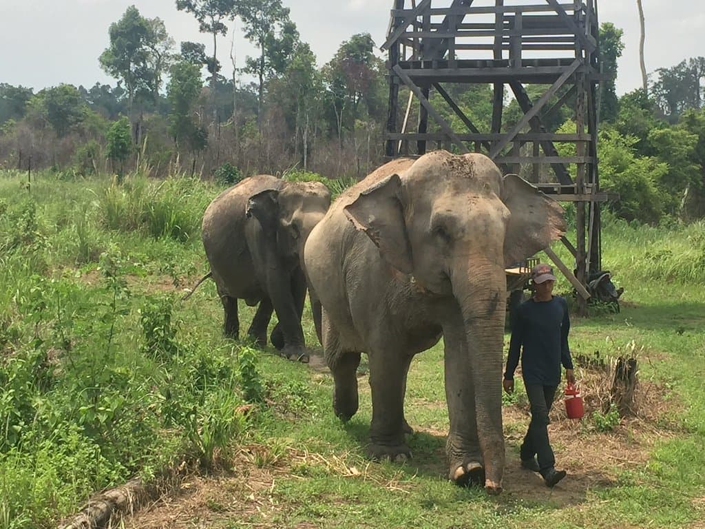 Sap Langka Wildlife Sanctuary