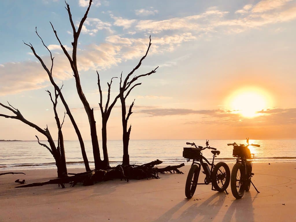 Bone Yard Beach Big Talbot Island Fl