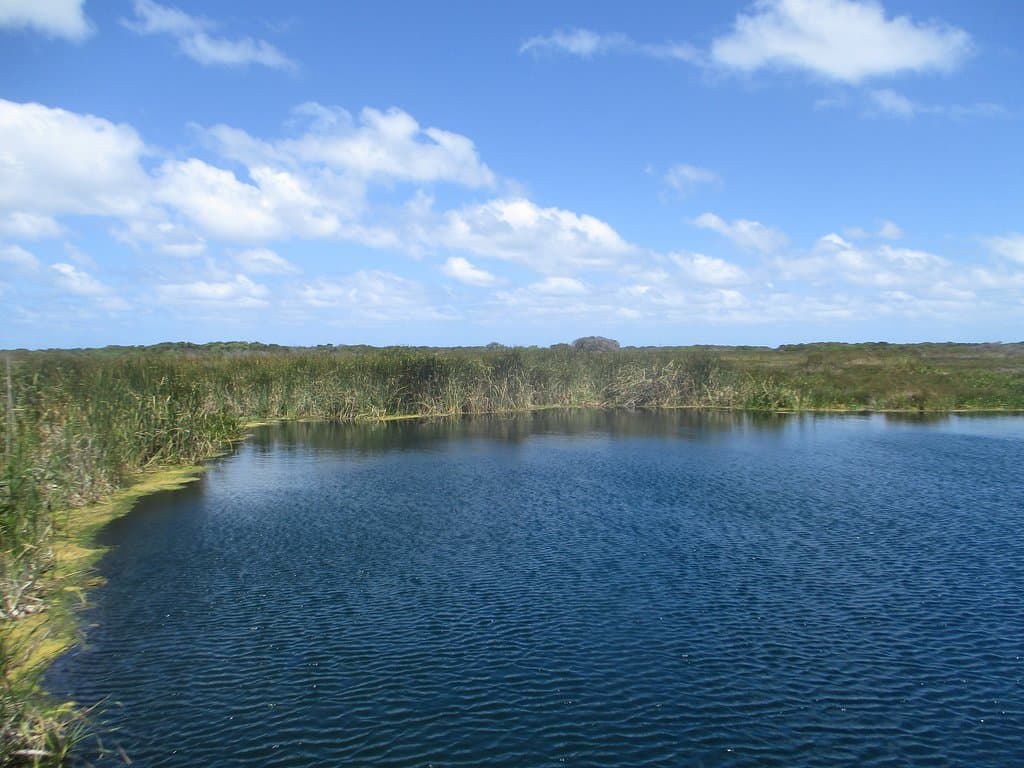 Pond