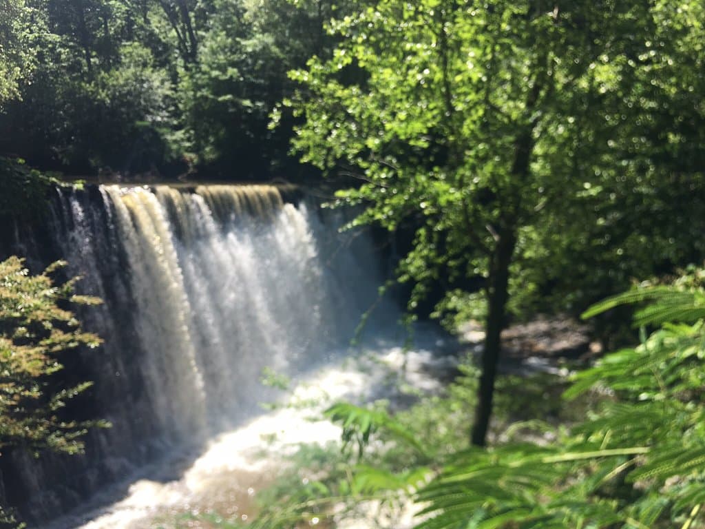 Old Mill Park and Vickery Creek Trail