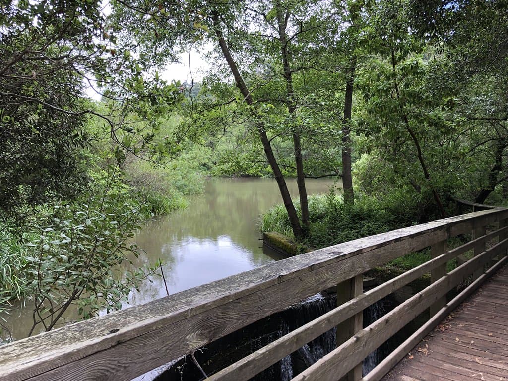 Tilden Nature Area Little Farm Jewel Lake