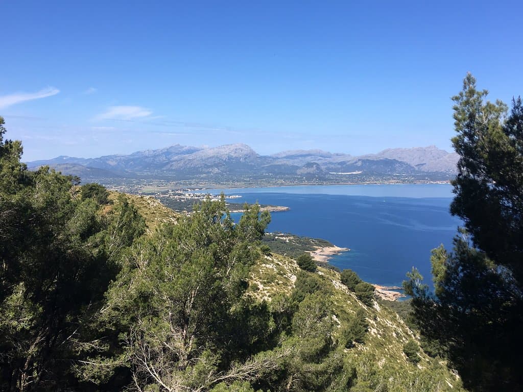 Talaia d'Alcúdia
