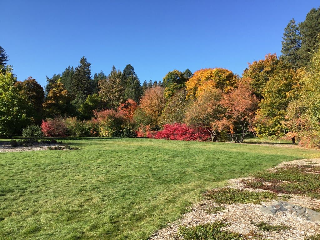 Finch Arboretum 