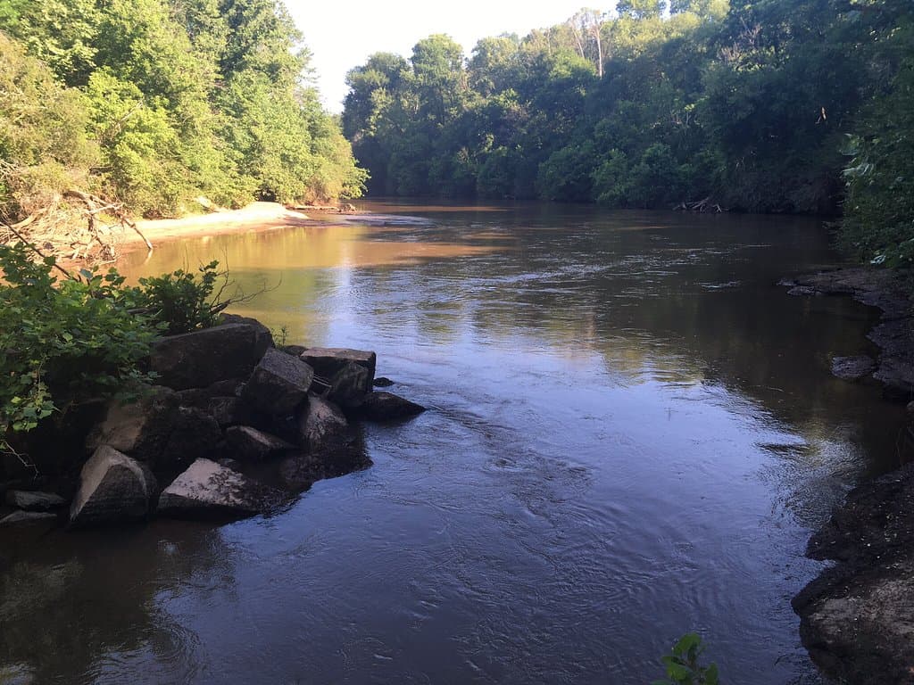 Scull Shoals Experimental Forest