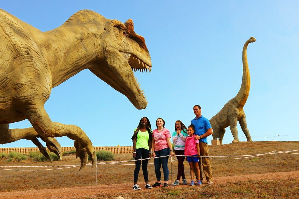 Come experience our moving and roaring life-like animatronic dinosaurs on our Dinosaur Wild Walk, a 1/8 mile trial that trail where you can explore our prehistoric past.