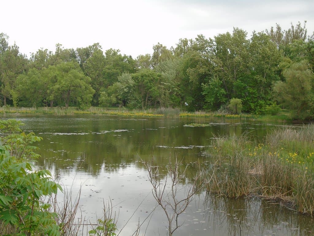 Yakima Sportsman SP pond.