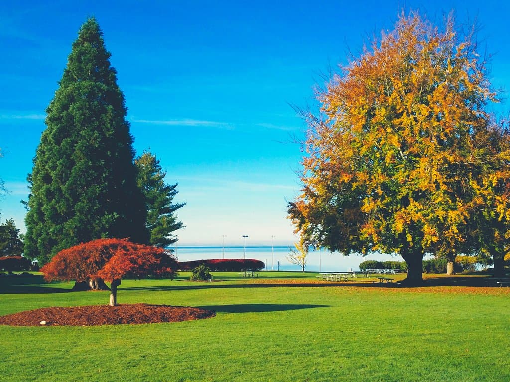 peace arch provincial park
