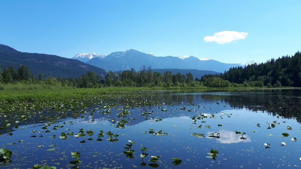 Beautiful spot only half mile from McDonald's