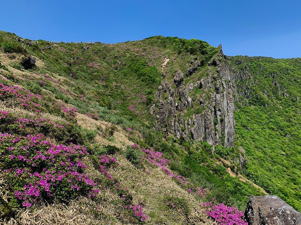 Hallasan National Park